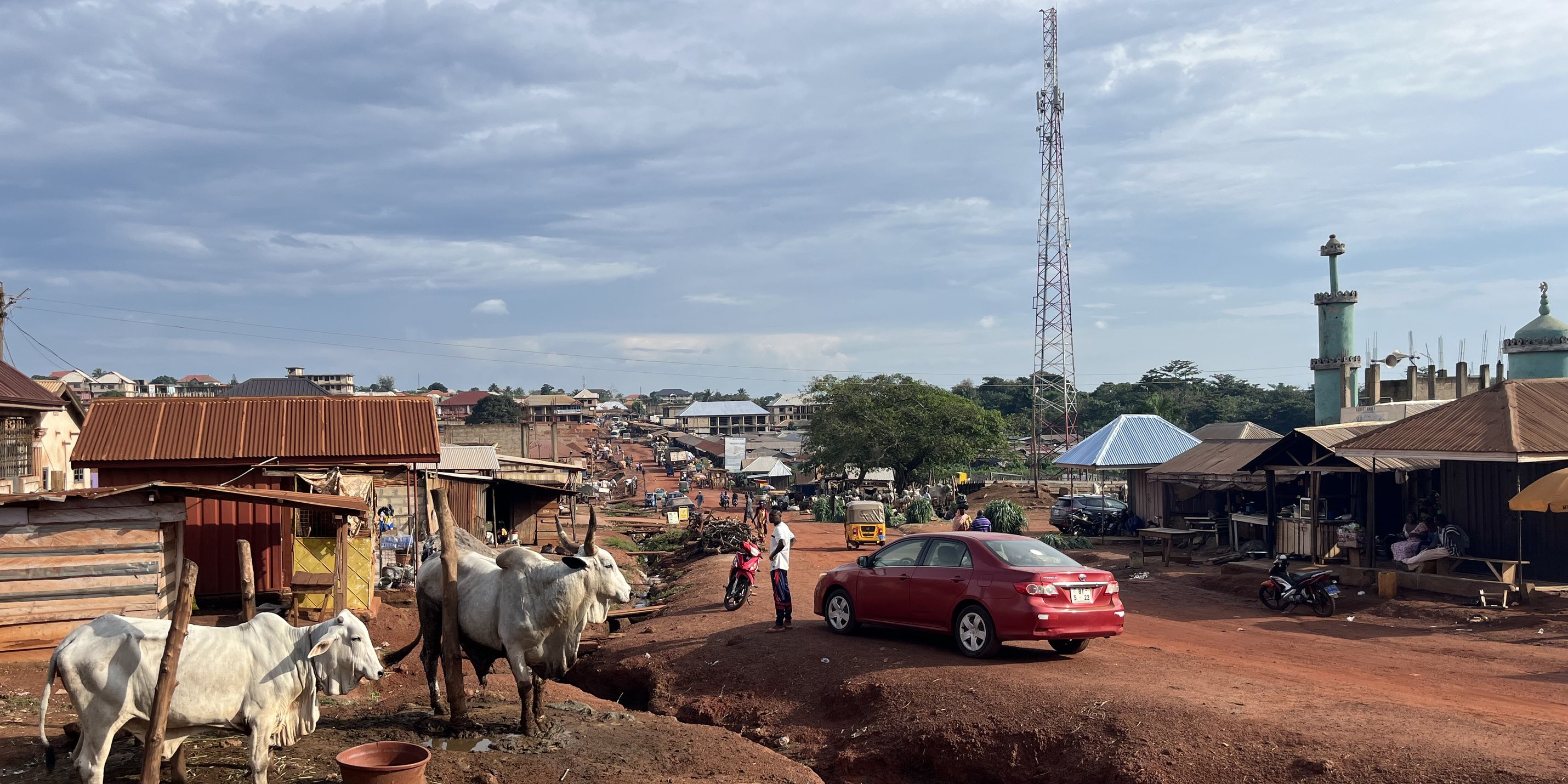 A red-earth road running through a town, with cattle grazing in the foreground, roadside stalls and tin-roofed shops along both sides, a mosque and a telecommunications tower on the horizon.